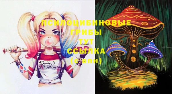 jwh Абаза
