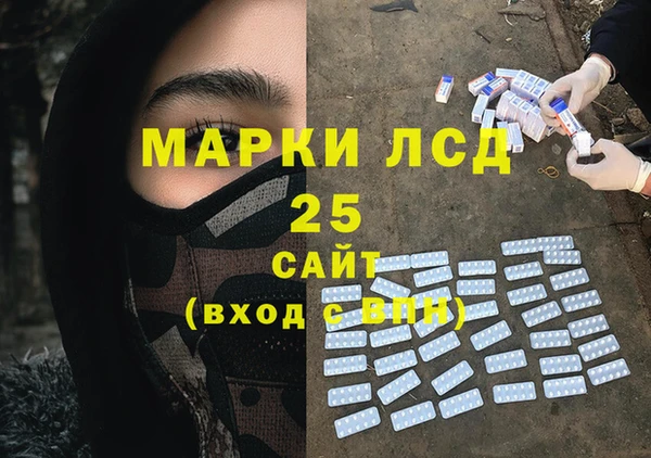 прущие грибы Заволжье