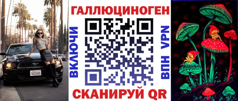 МЕГА вход  Лодейное Поле  Псилоцибиновые грибы Psilocybe 